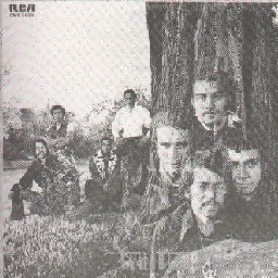 Frutos del País